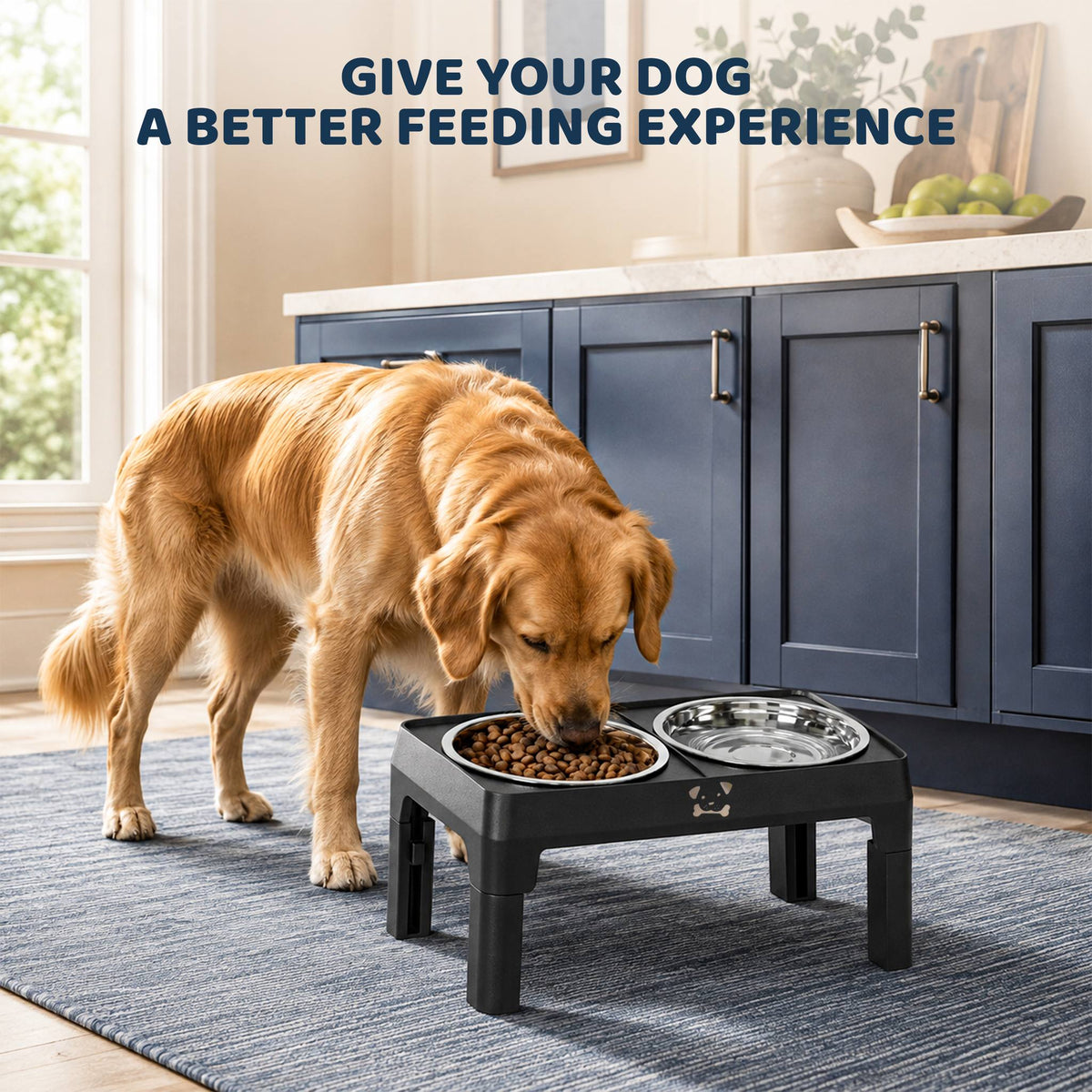 Adjustable Raised Dog Bowl Set