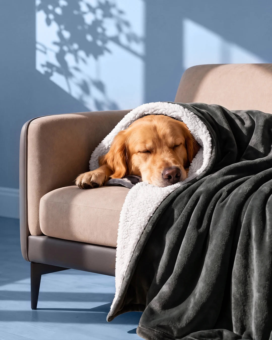 Reversible Teddy Sherpa Blanket