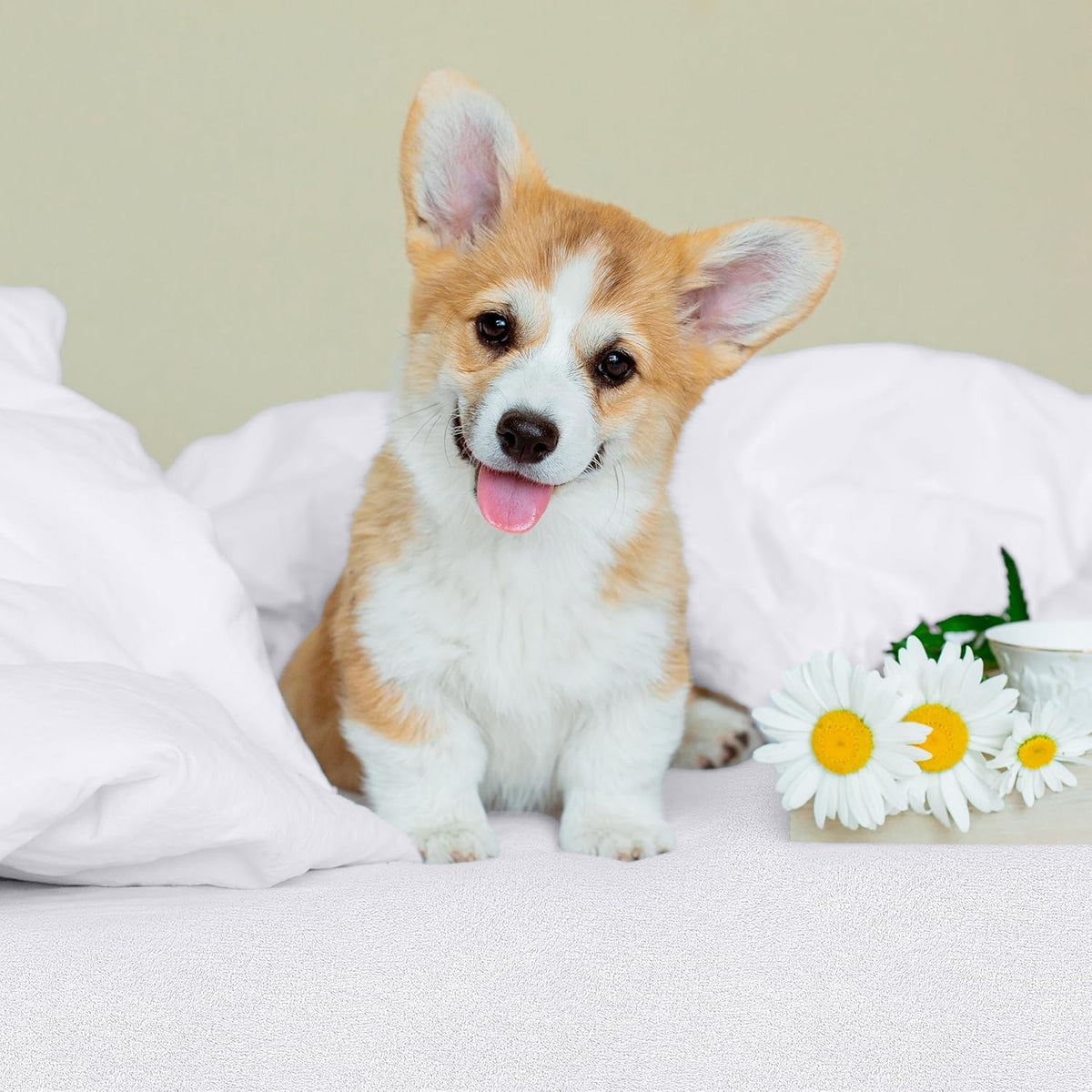 TerrySoft Waterproof Mattress Protector