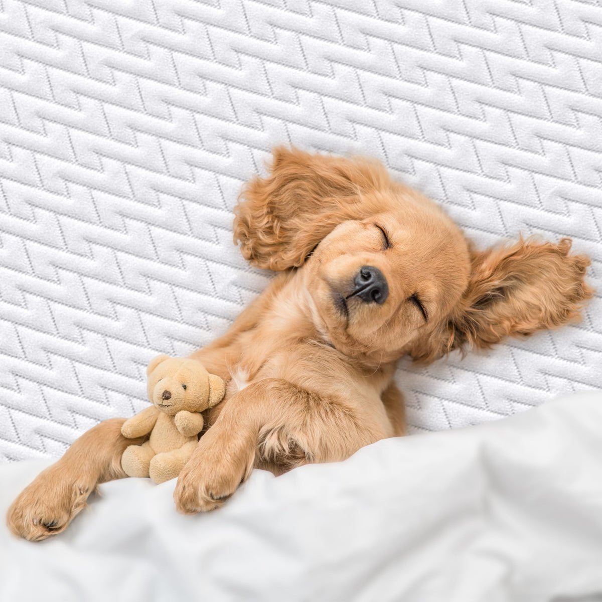 Quiet Zigzag Mattress Protector